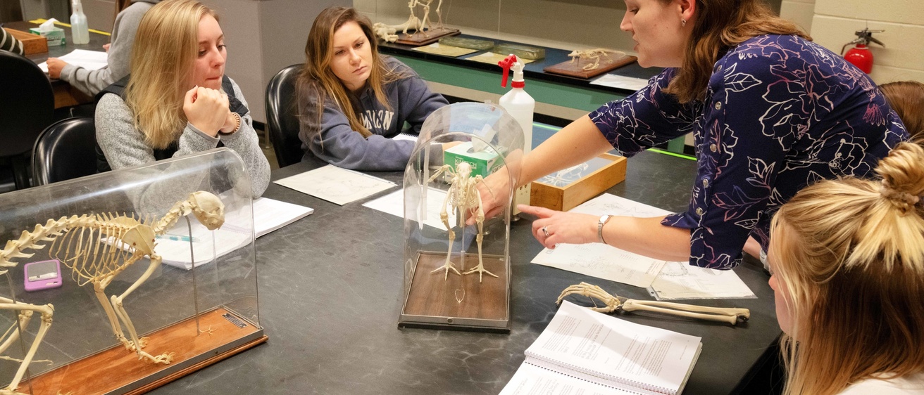 chemistry-placement-test-cdt-orientation-services-the-university